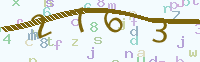 Code verifiëren